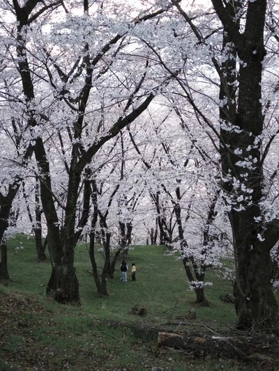 ⛰️ 고보 산(코보야마) 이미지 1